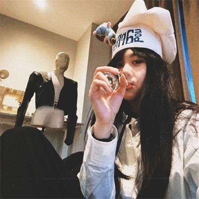 完美的独裁国家